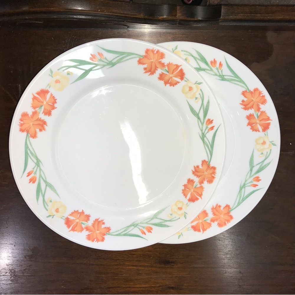 Arcopal Dinner Plates Wildflower Pattern 2 Plates